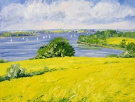 56. Rapsfelder an der Schlei 80x100.jpg