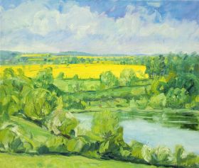 65. Rapsfeld am See 60x70.JPG
