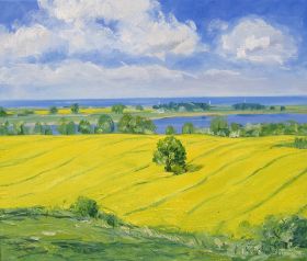 53. Rapsfeld an der Howachter Bucht 60x70.jpg