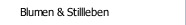 Blumen & Stillleben