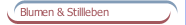 Blumen & Stillleben